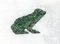 Frosch 2 fuer Tanni
